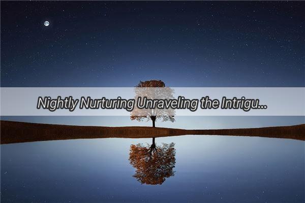 Nightly Nurturing Unraveling the Intriguing Dreams and Stomach Pains of Pregnancy Sleep